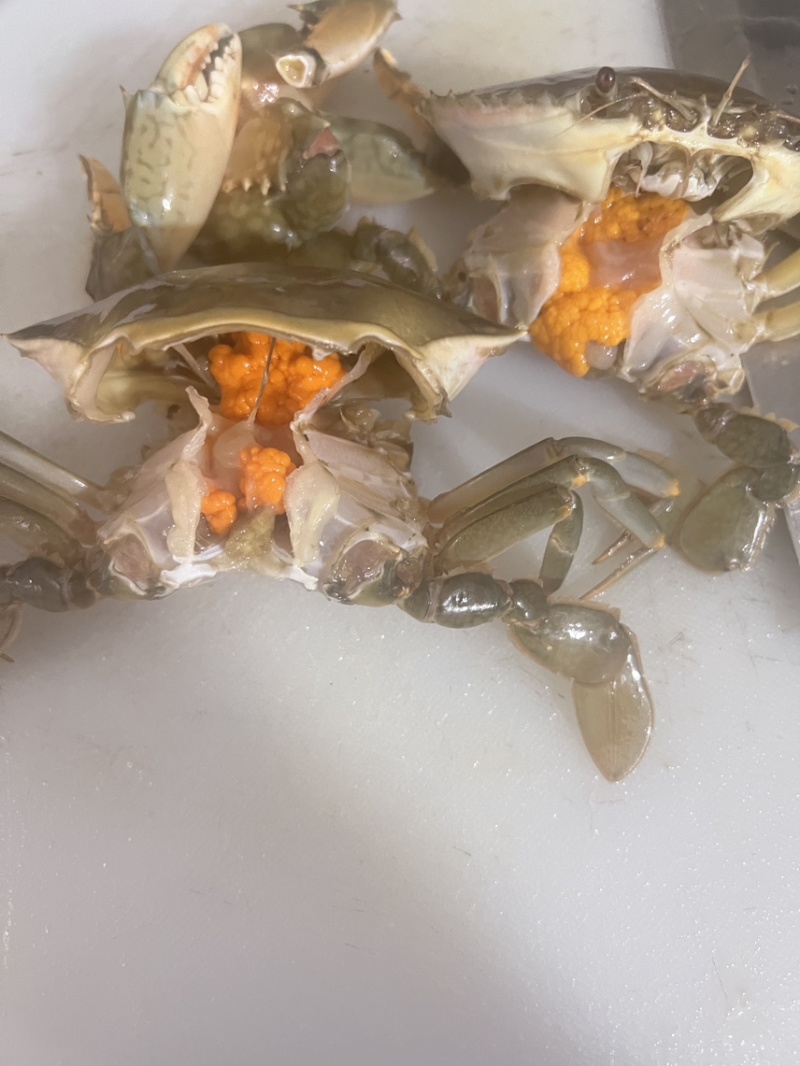 红膏蟹青蟹肉蟹质量杠杠滴