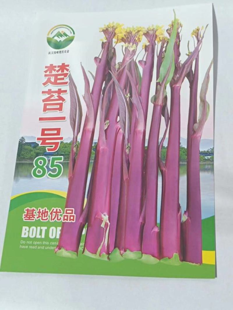楚苔1号（红菜苔）