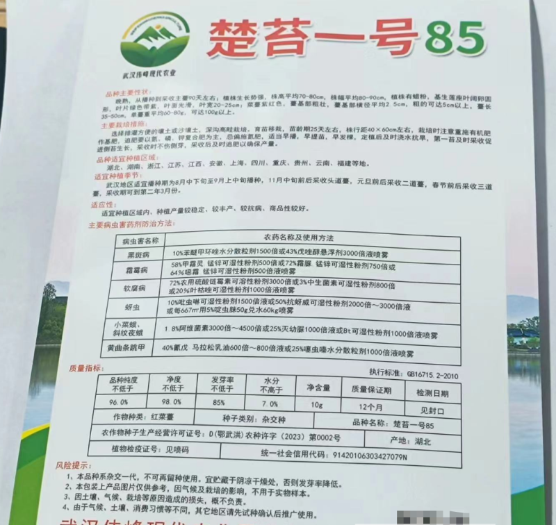 楚苔1号（红菜苔）