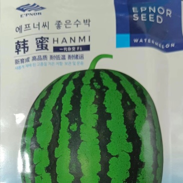 韩密西瓜