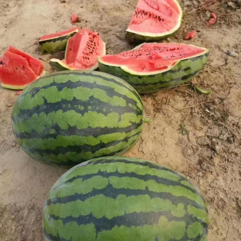 韩密西瓜