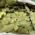 香叶调味料各种规格一手货源常年大货批发价波动快先咨询
