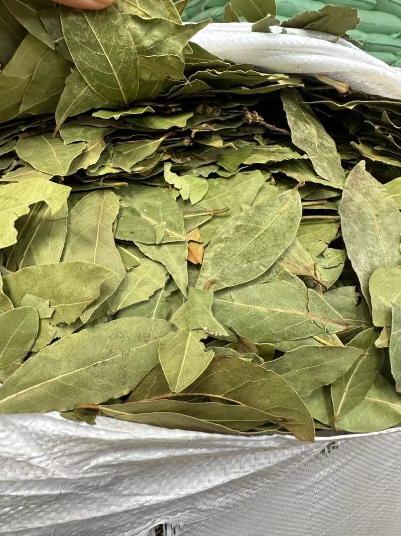 香叶调味料各种规格一手货源常年大货批发价波动快先咨询