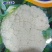 彼岸50天花菜