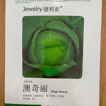 澳奇丽（甘蓝）