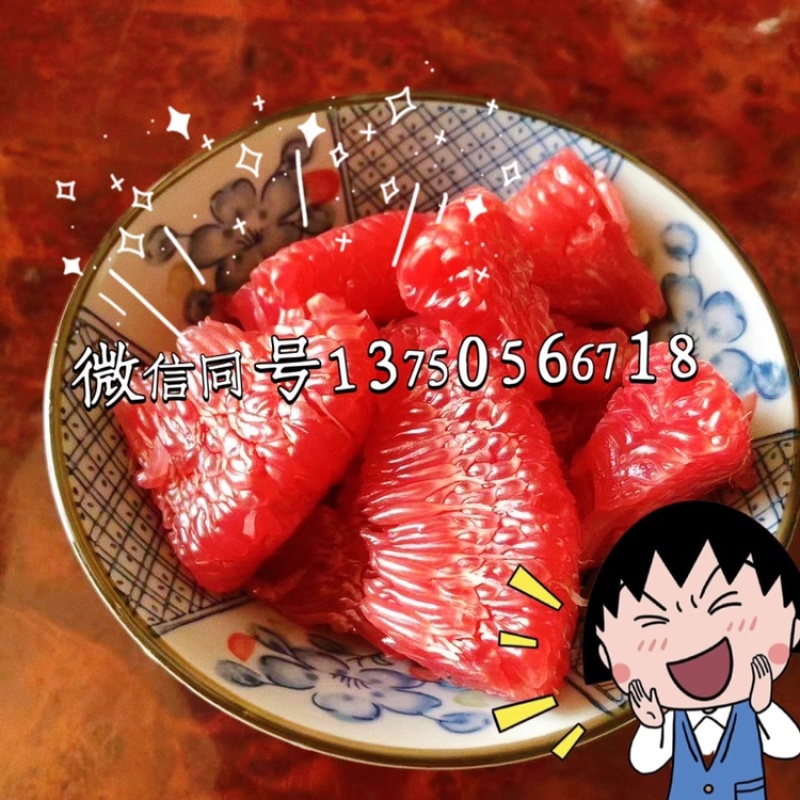梅州红肉蜜柚，九月上市，诚招代理，一件代发