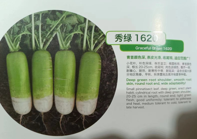 秀绿(袋装)