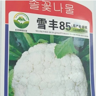 雪丰85天花