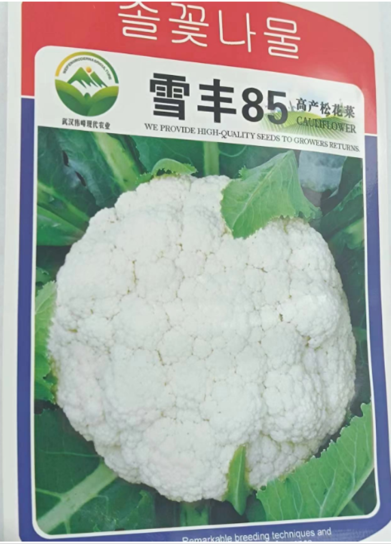 雪丰85天花