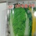 CR冬圣6号（白菜）高产耐寒品质优