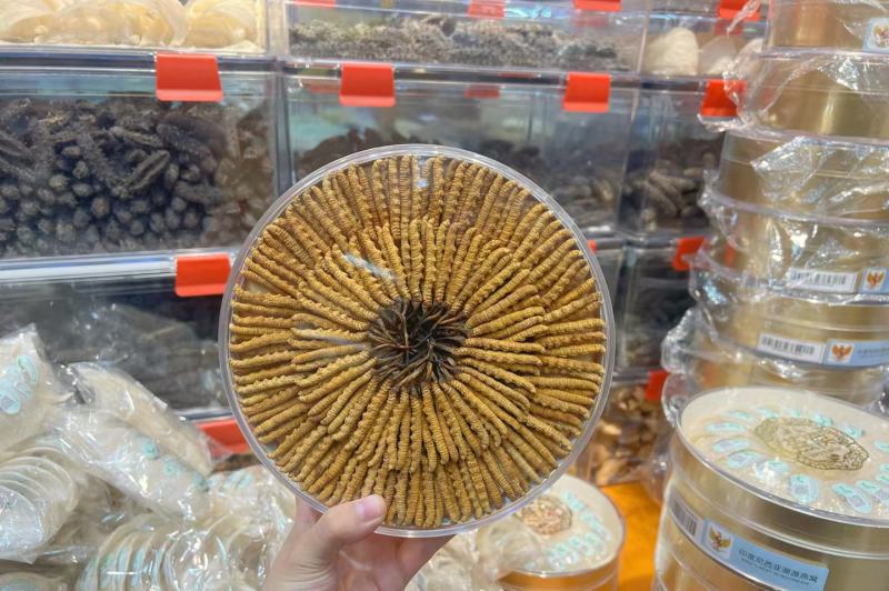 精品冬虫夏草三十年实体老店品质保证诚信经营全年稳定供货