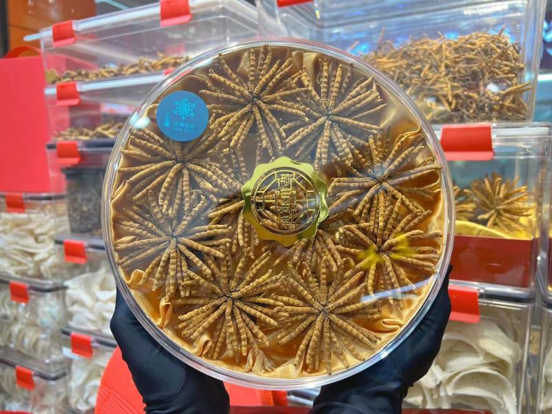 精品冬虫夏草三十年实体老店品质保证诚信经营全年稳定供货
