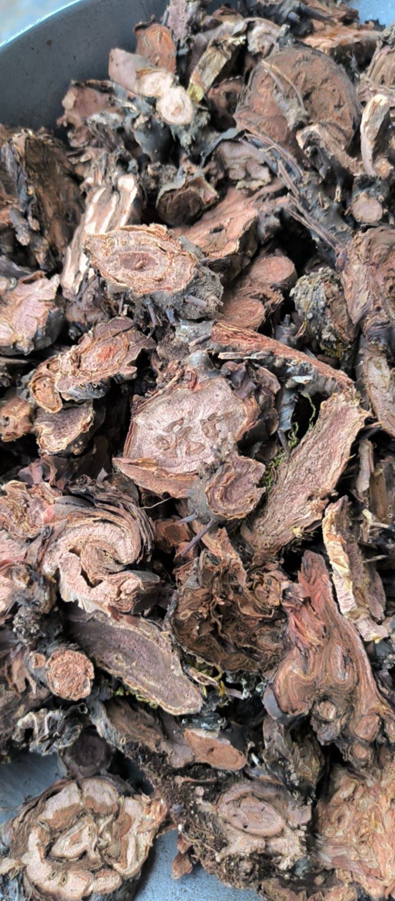 红景天批发各种规格中药材红景天质量保证量大从优