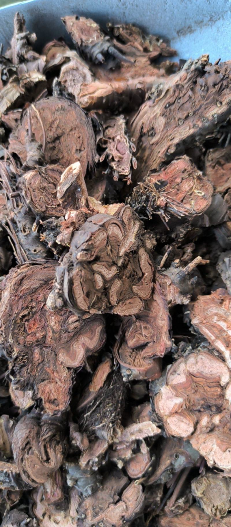 红景天批发各种规格中药材红景天质量保证量大从优