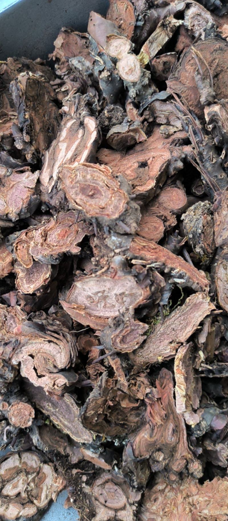 红景天批发各种规格中药材红景天质量保证量大从优