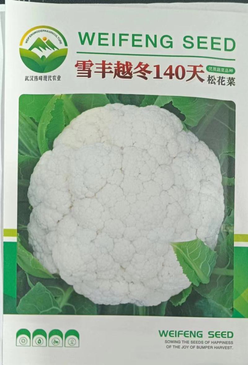雪丰140天