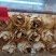 优质精品陈皮货源充足三十年老店品质保证稳定供货