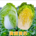 艳秋大白菜