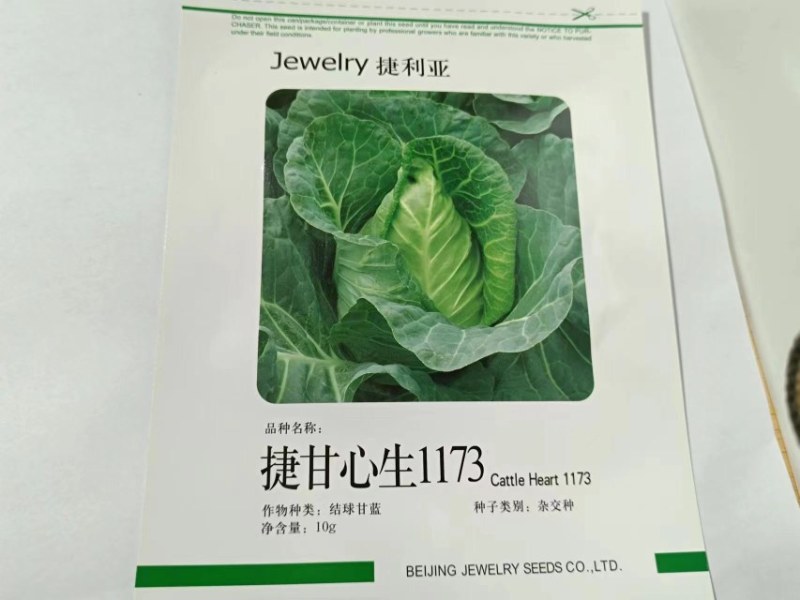 捷甘心生1173种子早熟球绿结球紧实耐抽苔抗病