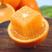 【精选】精品纽荷尔脐橙大量供应甜度高水分足