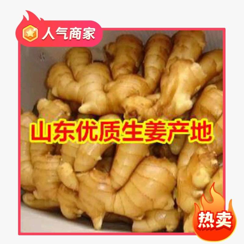 山东大姜【电商生姜】产地批发价格五毛起，品质保证全国发货