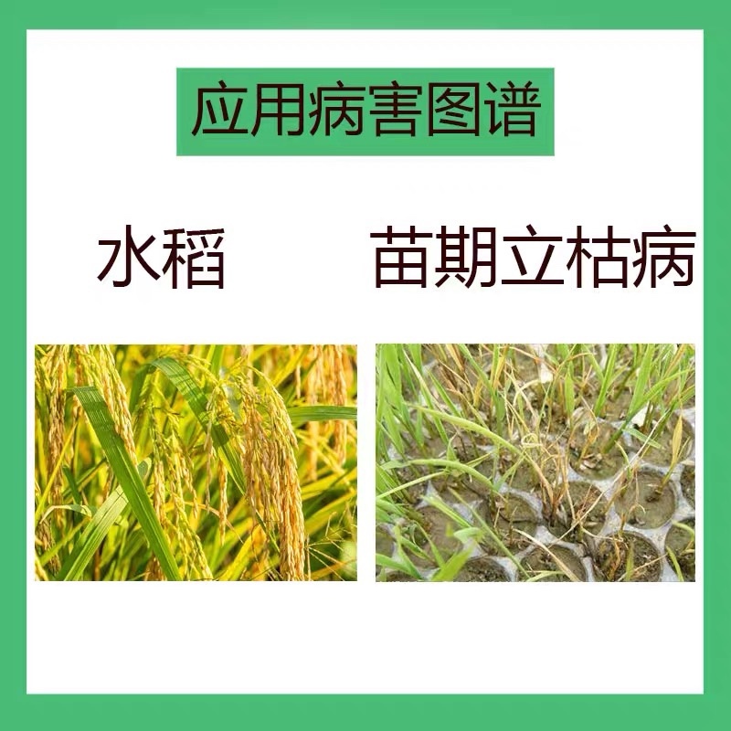 上苗清30%甲霜恶霉灵立枯病黑胫病杀菌剂包邮