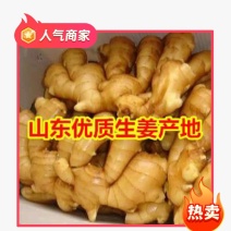 山东大黄姜产地批发价格，货源充足全国发货质量保证