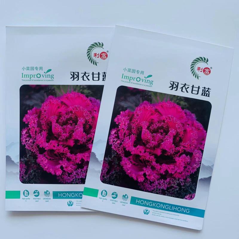 羽衣甘蓝种子观赏食用型甘蓝蔬菜孑阳台四季盆栽春季种植