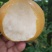 白皇冠梨圆皇梨华山梨