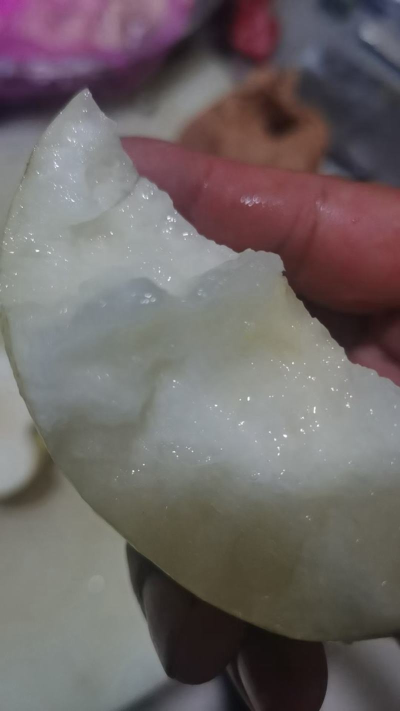 白皇冠梨圆皇梨华山梨