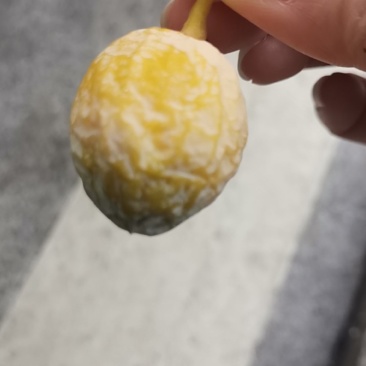 银杏果
