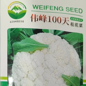 伟峰100天