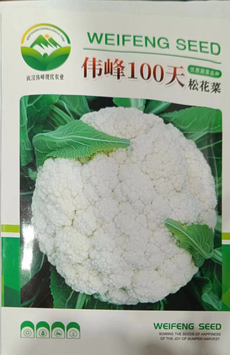 伟峰100天
