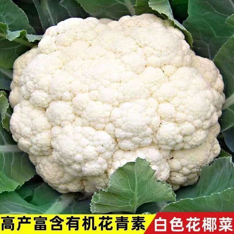 伟峰100天