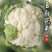 伟峰100天