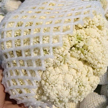 福建漳浦有机菜花散花花菜松花菜一手货源全国发货