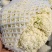 福建漳浦有机菜花散花花菜松花菜一手货源全国发货