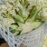 福建漳浦有机菜花散花花菜松花菜一手货源全国发货