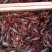 小龙虾大量批发