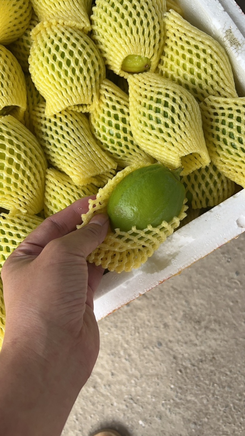 大量二级27号可以发货