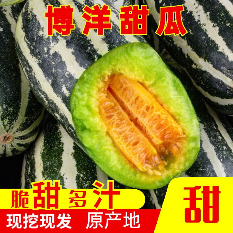 河北博洋九博洋91大量现货供应品种多样一手货源代发