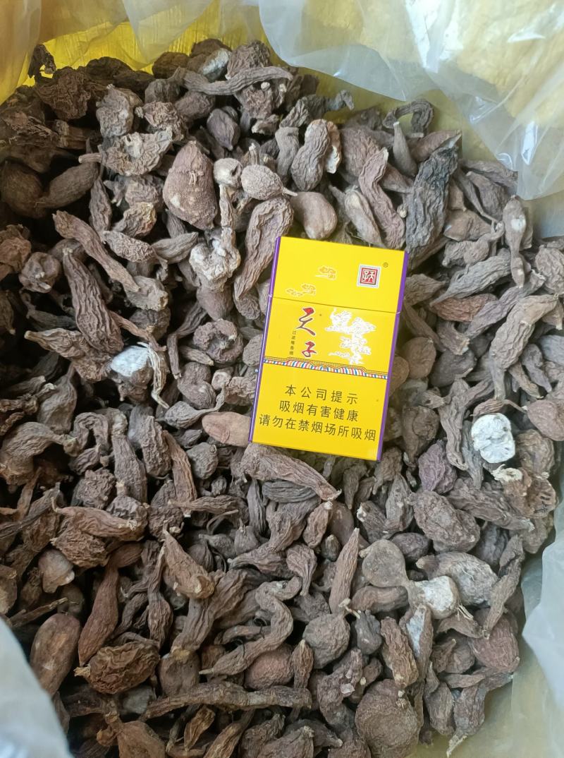 金果榄四川省乐山市峨眉山野生货