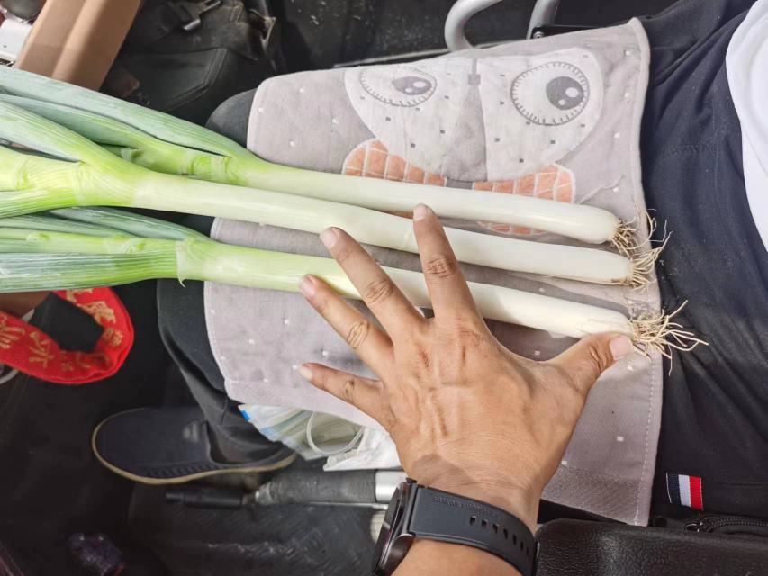 大葱与甲状腺健康科普插图