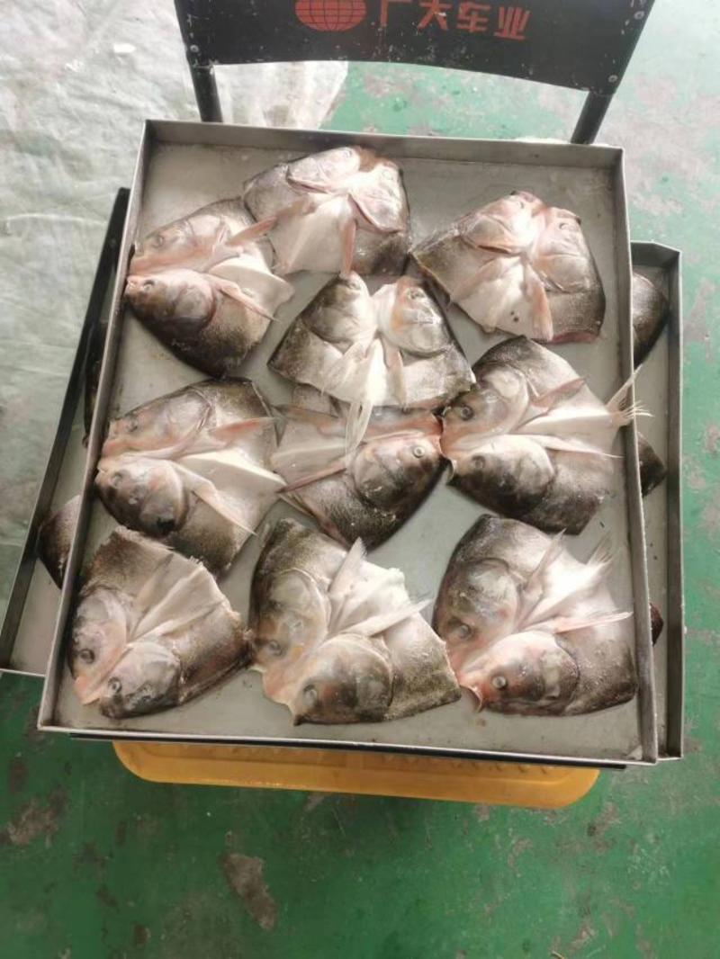 鱼头厂家直销多种规格多种价格