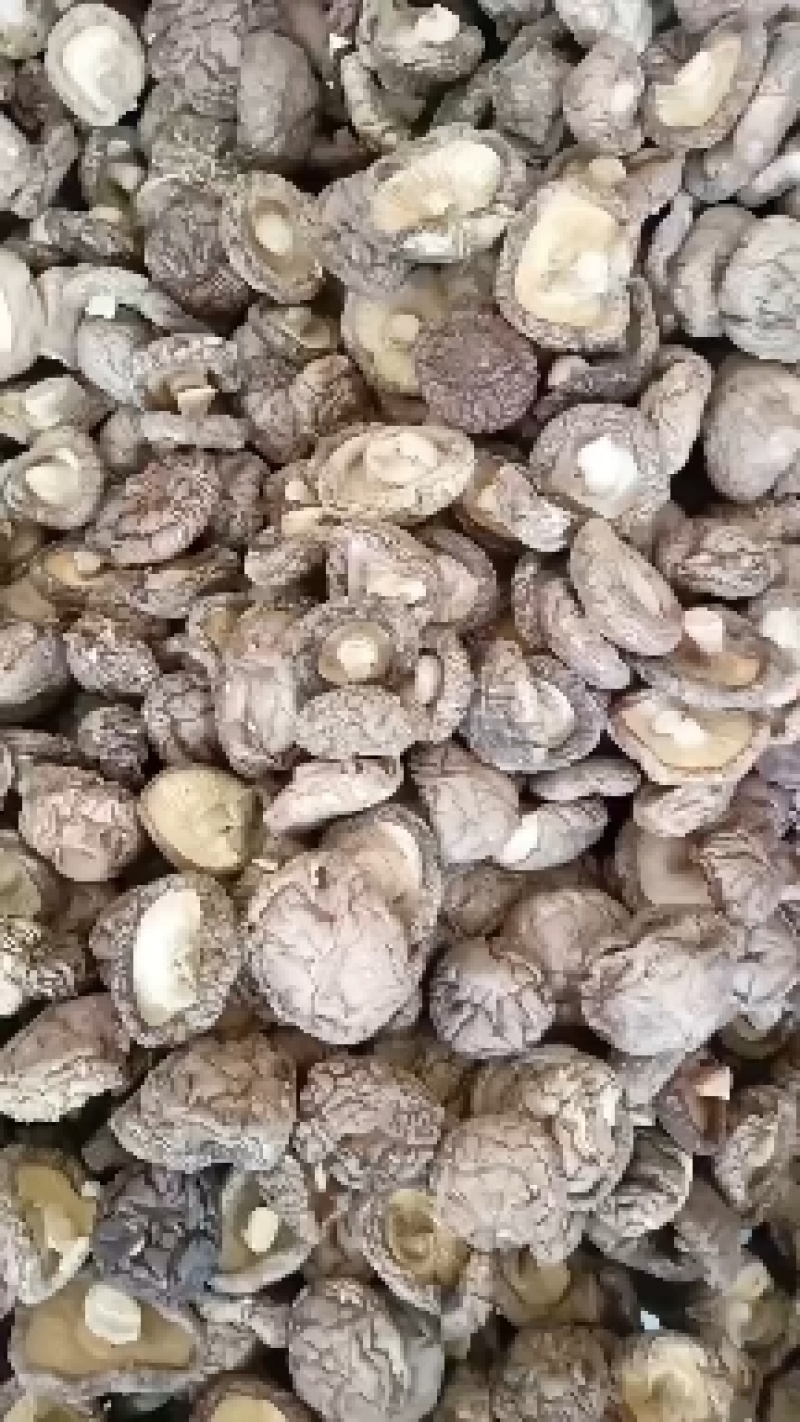 干香菇