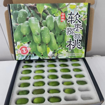 精品猕猴桃辽宁软枣猕猴桃基地直供货发全国支持一件代发
