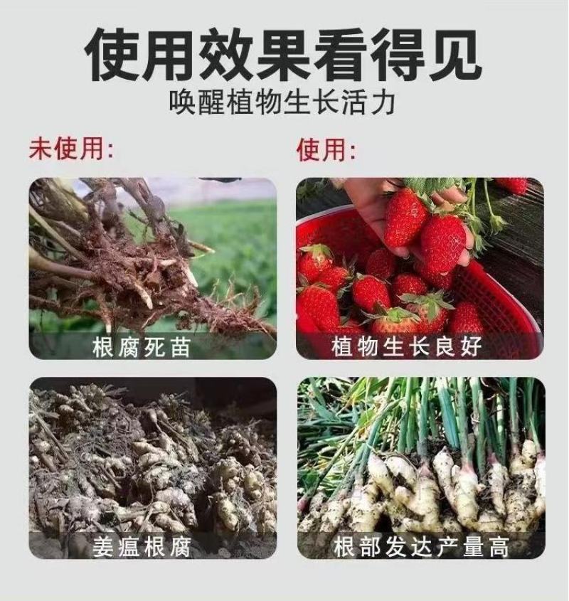 活菌生根粉强力生根扦插移栽缓苗快壮苗爆根微生物菌剂