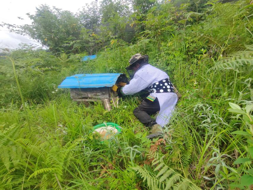 化学药剂喷洒作业