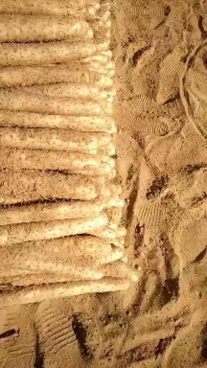 【销量过万】精品热卖白玉山药大量上市欢迎选购
