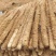 【销量过万】精品热卖白玉山药大量上市欢迎选购